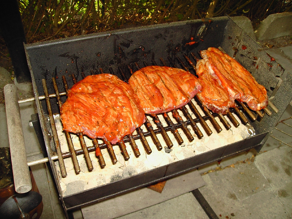 Grill 2008-24.JPG